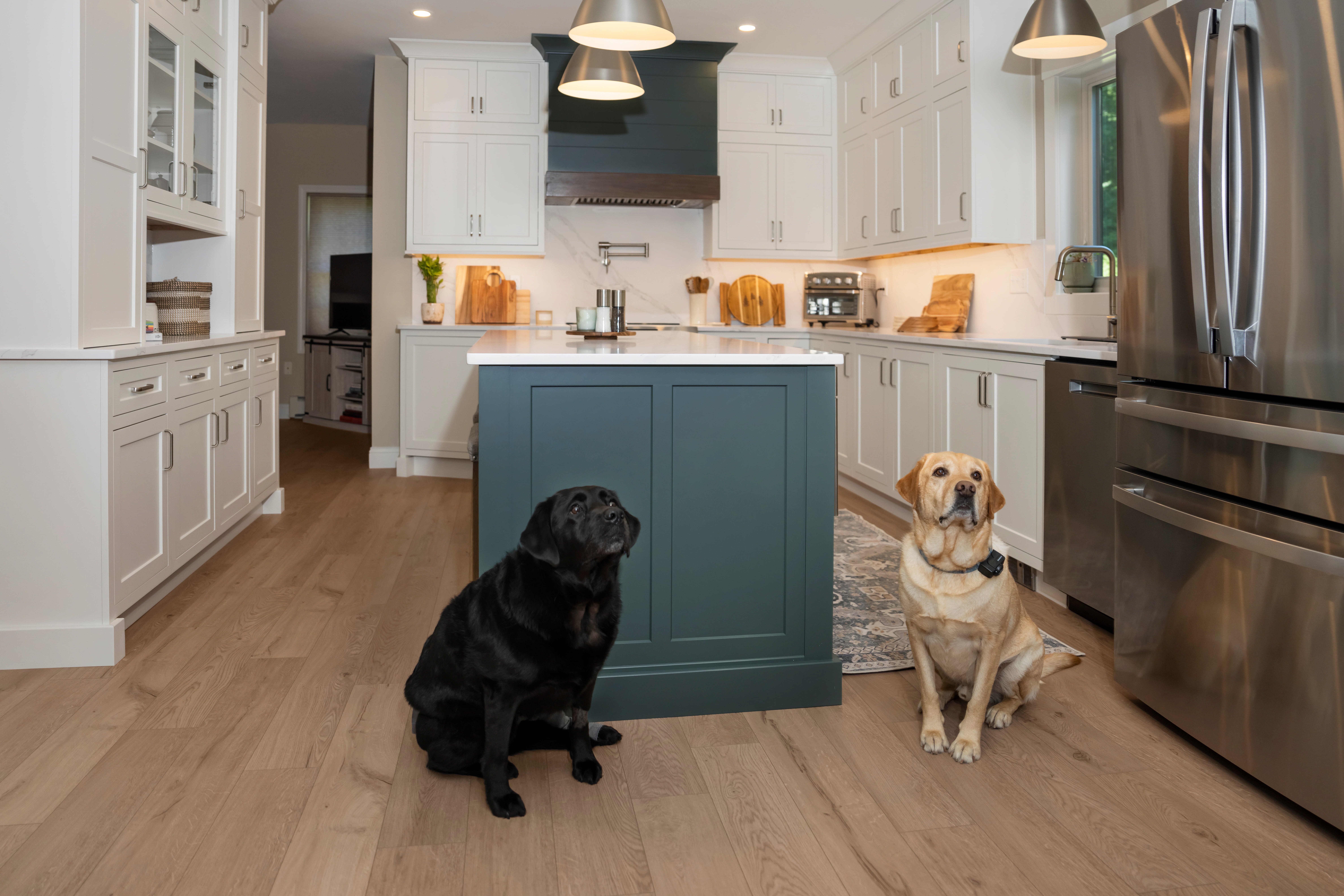 DukeAndRayInNewKitchen